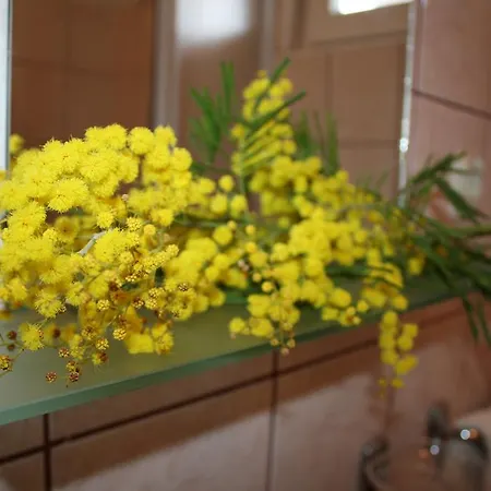 Apartamento Mise Trogir